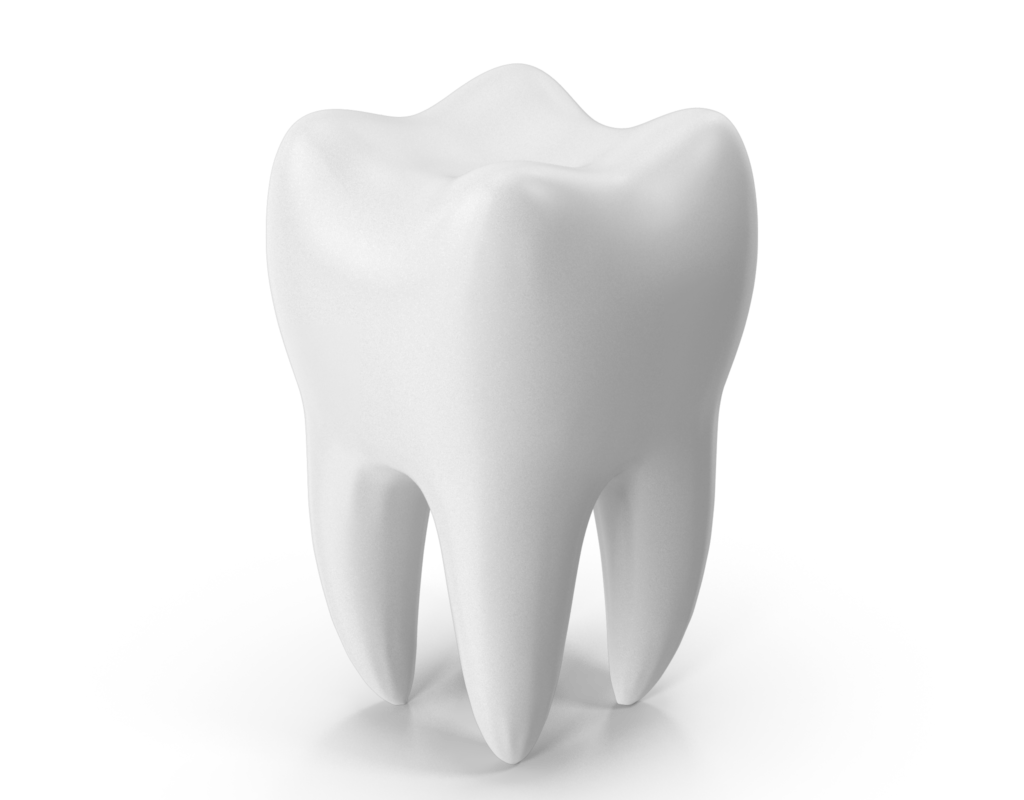 tooth